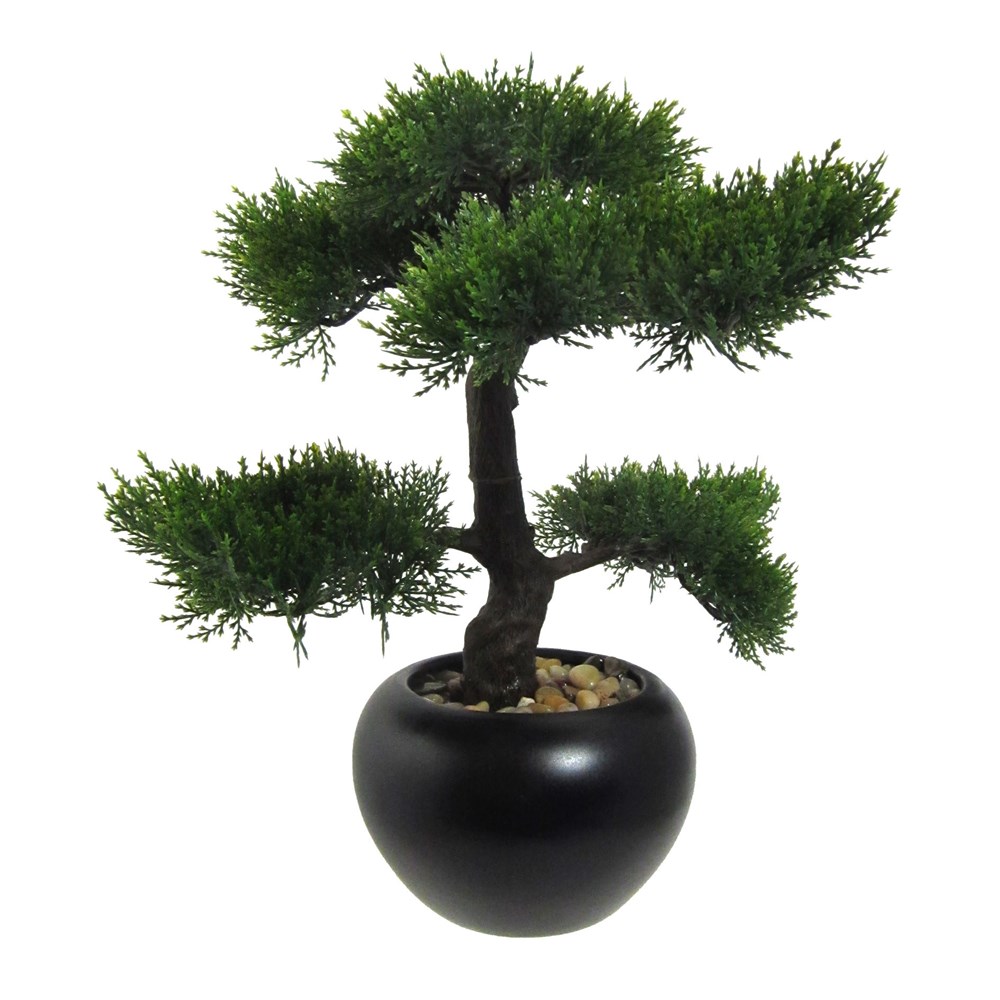 Gasper Bonsai CEDR 37 cm (vč. květináče) Gasper