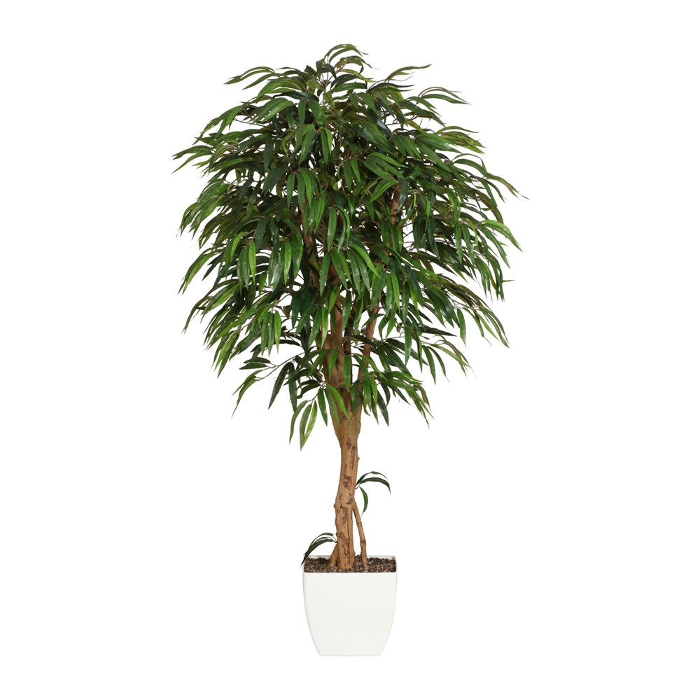 Gasper Strom Ficus 180 cm (plastový obal) Gasper