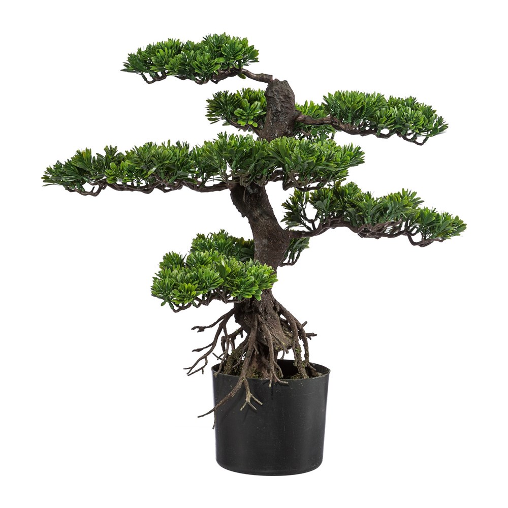 Gasper Bonsai 65 cm vč. květináče Gasper