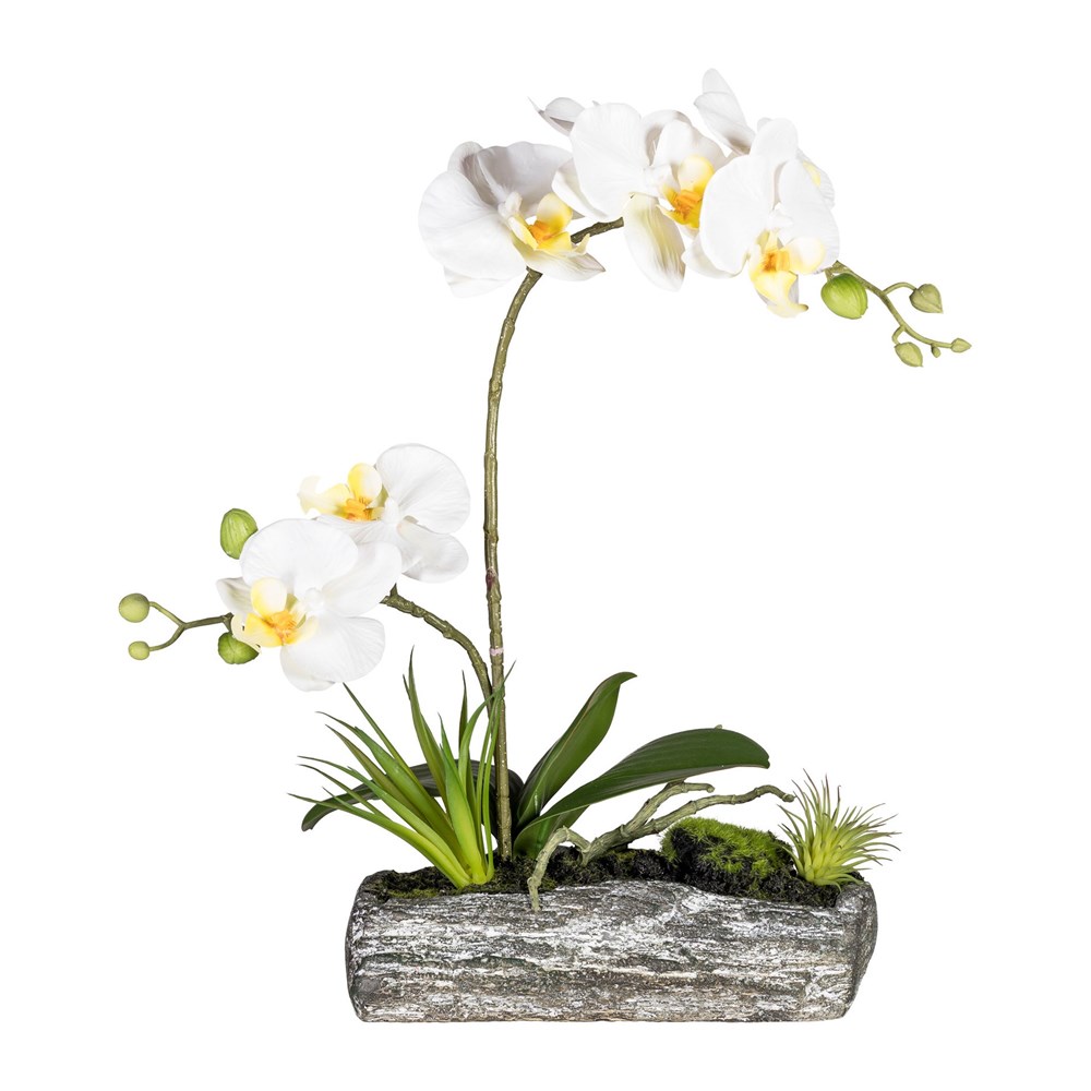 Gasper Phalaenopsis 40 cm (vč.polyresin.misky) Gasper