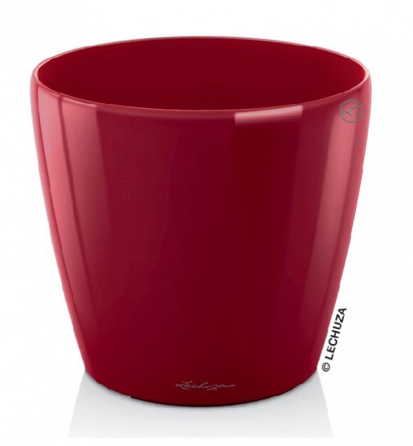 Lechuza classico LS 21 - scarlet Lechuza