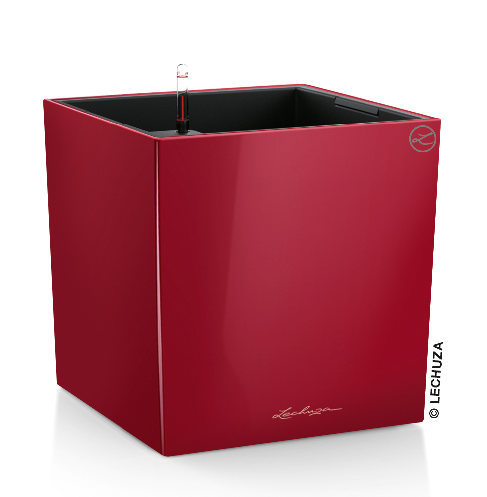 Lechuza Cube Premium 40 - scarlet Lechuza