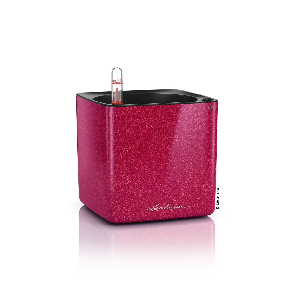 Lechuza Cube Glossy 14 - cherry pie Lechuza