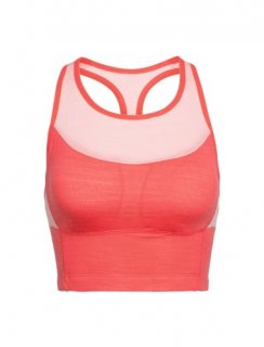 Icebreaker Wmns Meld Zone Long Sport Bra M Icebreaker