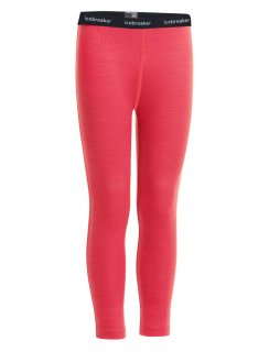 Icebreaker Kids 260 Tech Leggings 6 Icebreaker