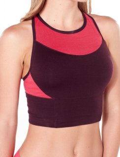 Icebreaker Wmns Meld Zone Long Sport Bra S Icebreaker