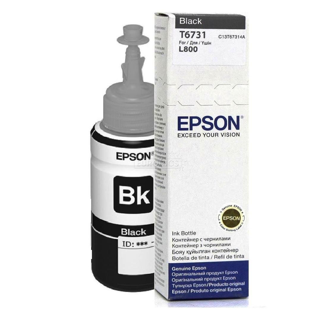 Epson T6731