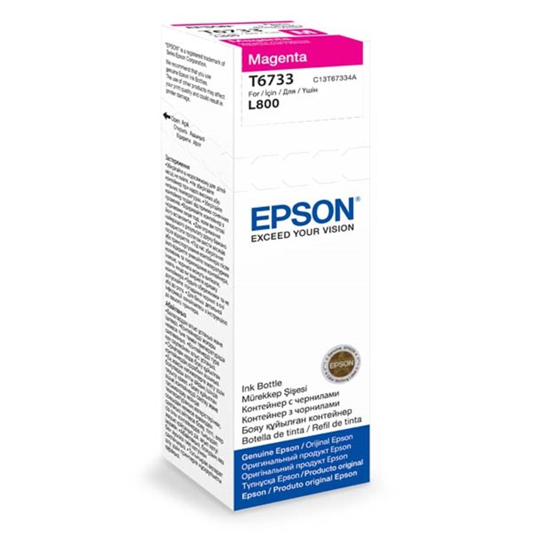 Epson T6733