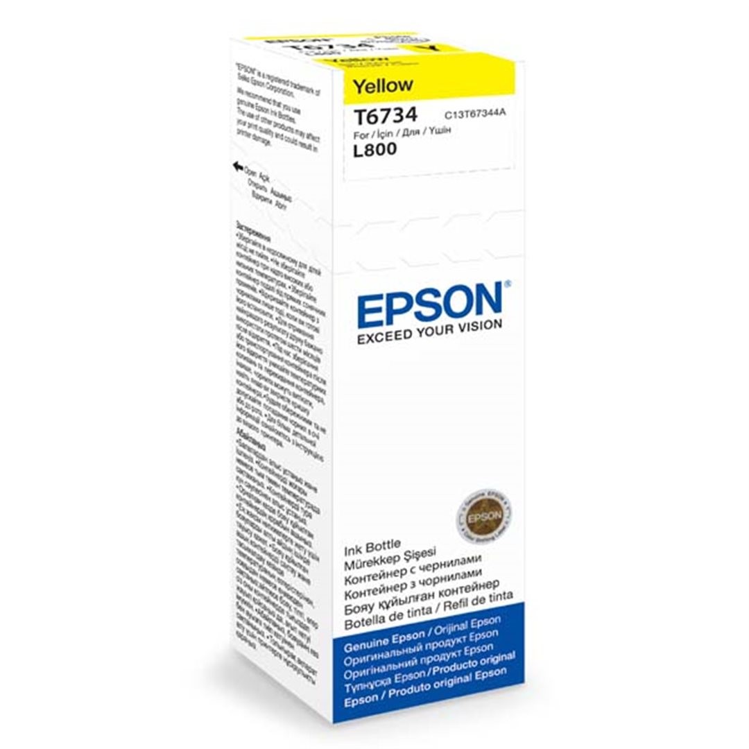 Epson T6734