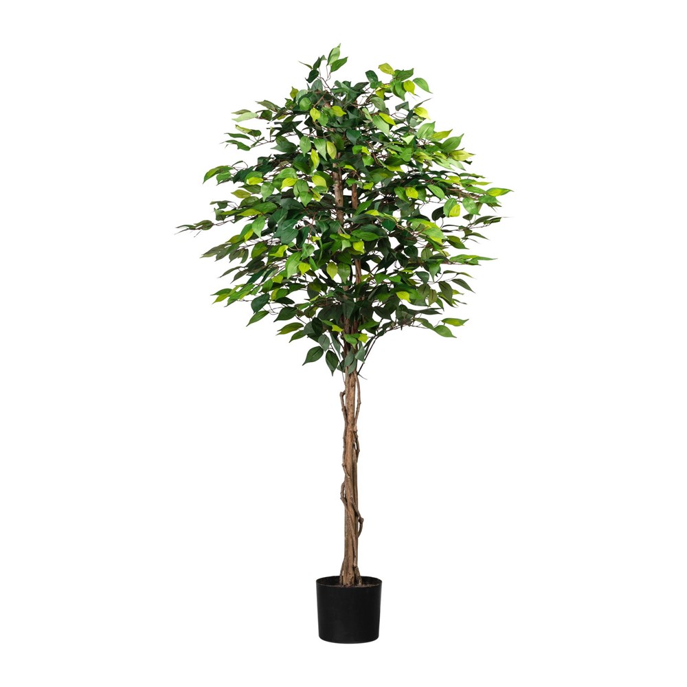 Gasper Ficus Benjamin 180cm (plastový obal) Gasper