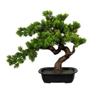 Gasper Bonsai myrta 40x40 cm Gasper